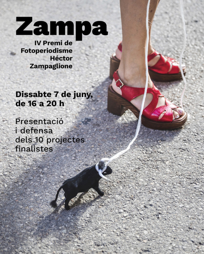 4rt Premi Zampa